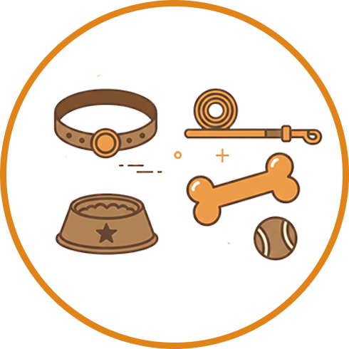 Dog Accessories